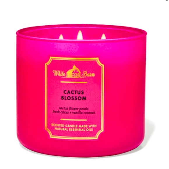 👑 NEW PINK CANDLE, CACTUS BLOSSOM, WHITE BARN! - Picture 1 of 1